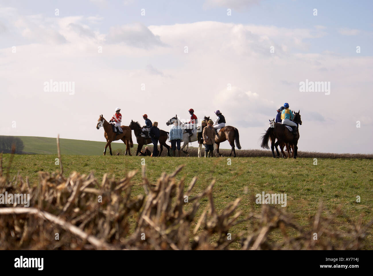 "Punto-a-punto"cavalli all'inizio di una gara nel corso della riunione del " del vecchio Berkshire Hunt a Lockinge vicino a Wantage Oxfordshir Foto Stock