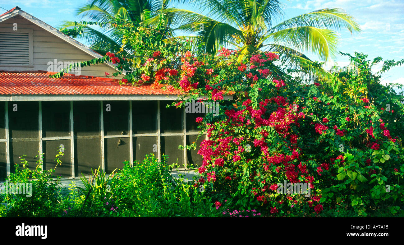 Il vecchio stile casa tradizionale con zanzariera Cayman Brac Isole Cayman Foto Stock