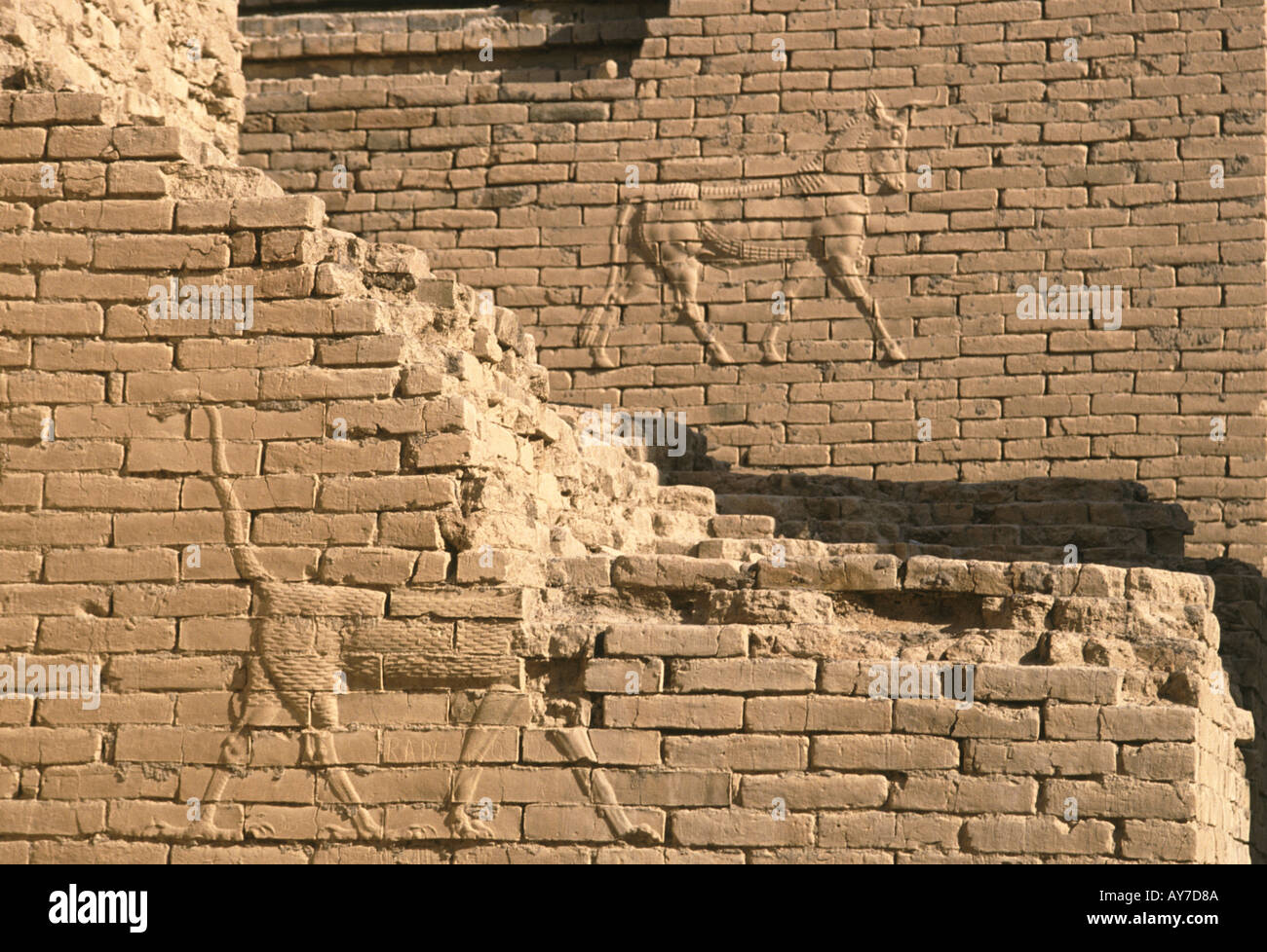 Figure di animali in bassorilievo su un muro di mattoni nell'antica città di Babilonia in Iraq Foto Stock