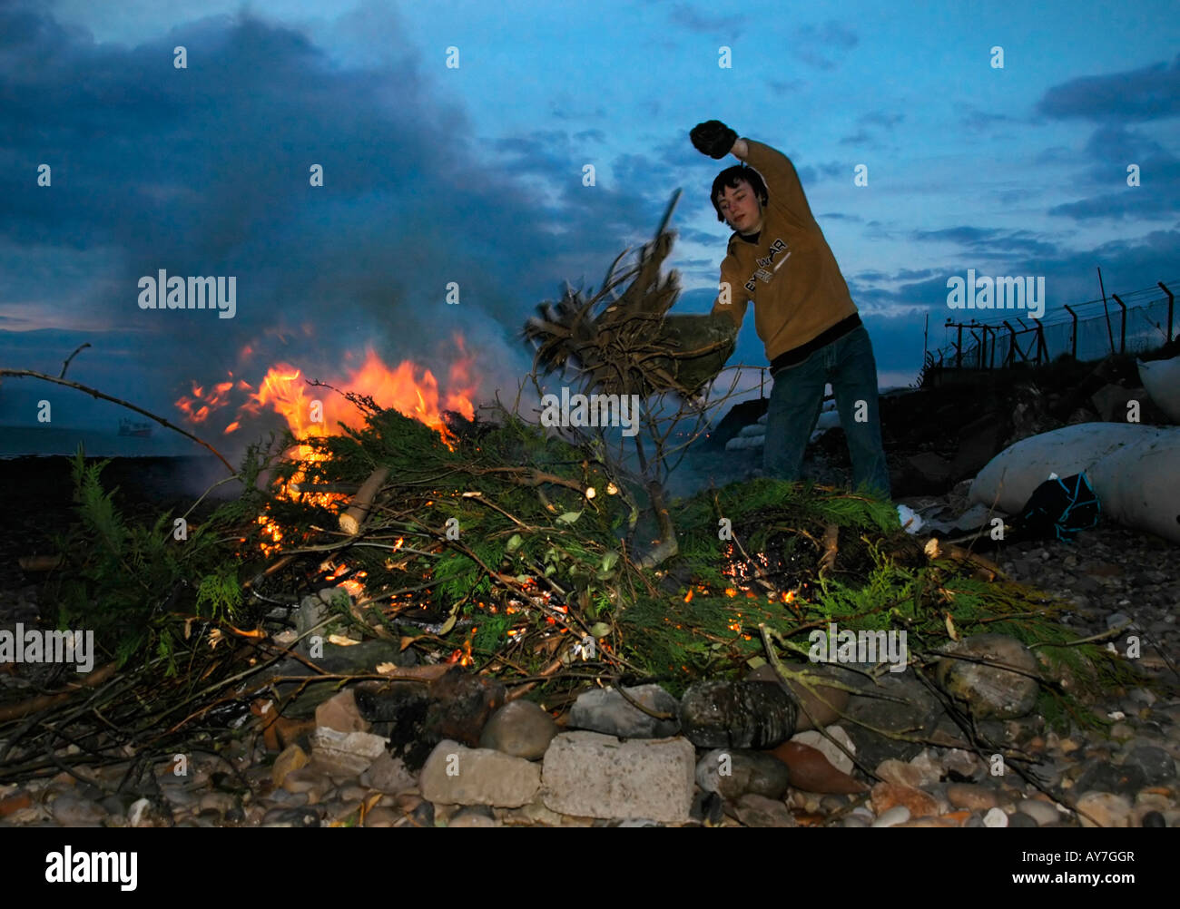 Un ragazzo adolescente getta talee di albero da un giardino su un falò Foto Stock