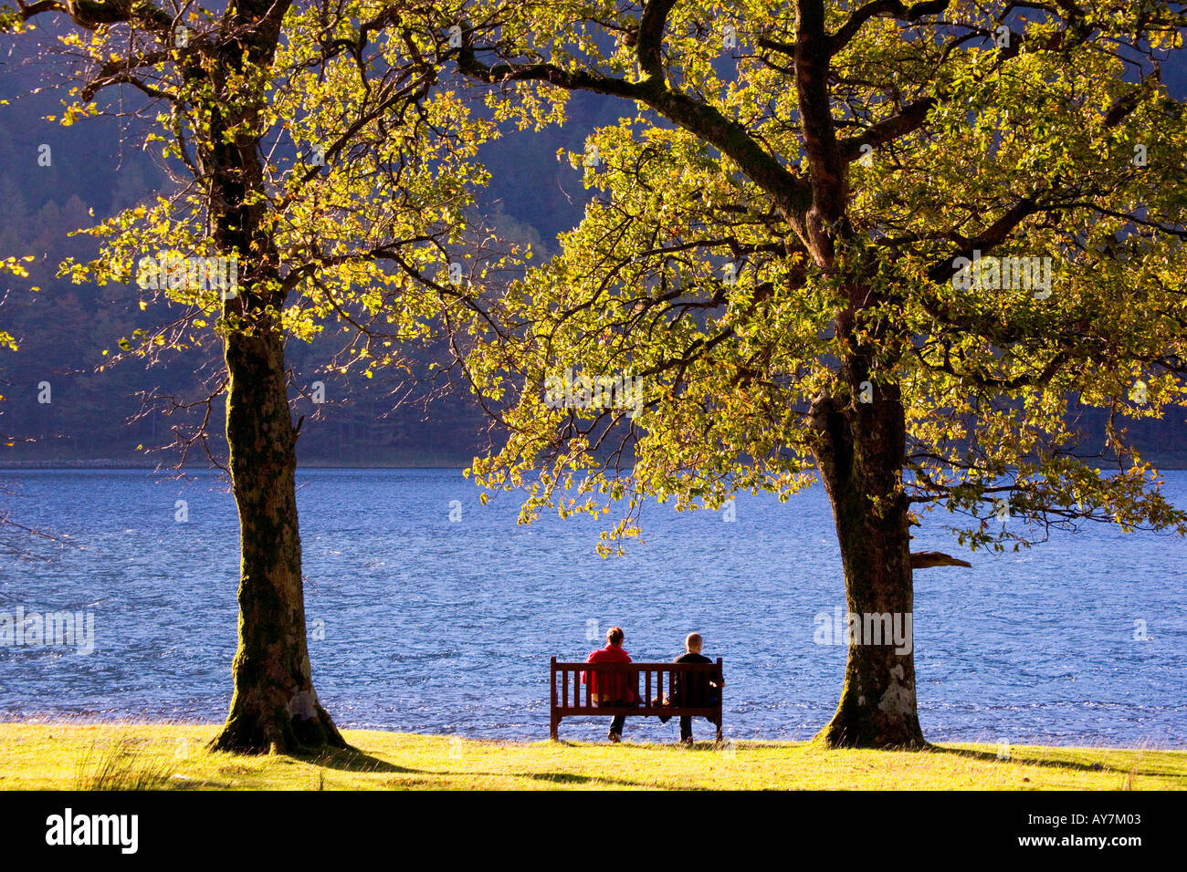 La sponda orientale del Buttermere nel distretto del lago, Cumbria in autunno. Foto Stock