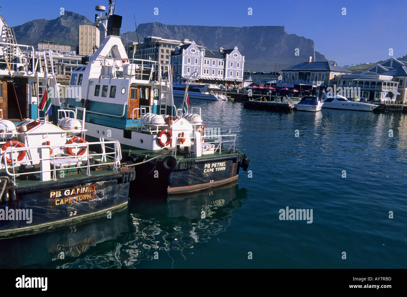 Porto al V&A Waterfront, Città del Capo e di Table Mountain in background, Sud Africa Foto Stock