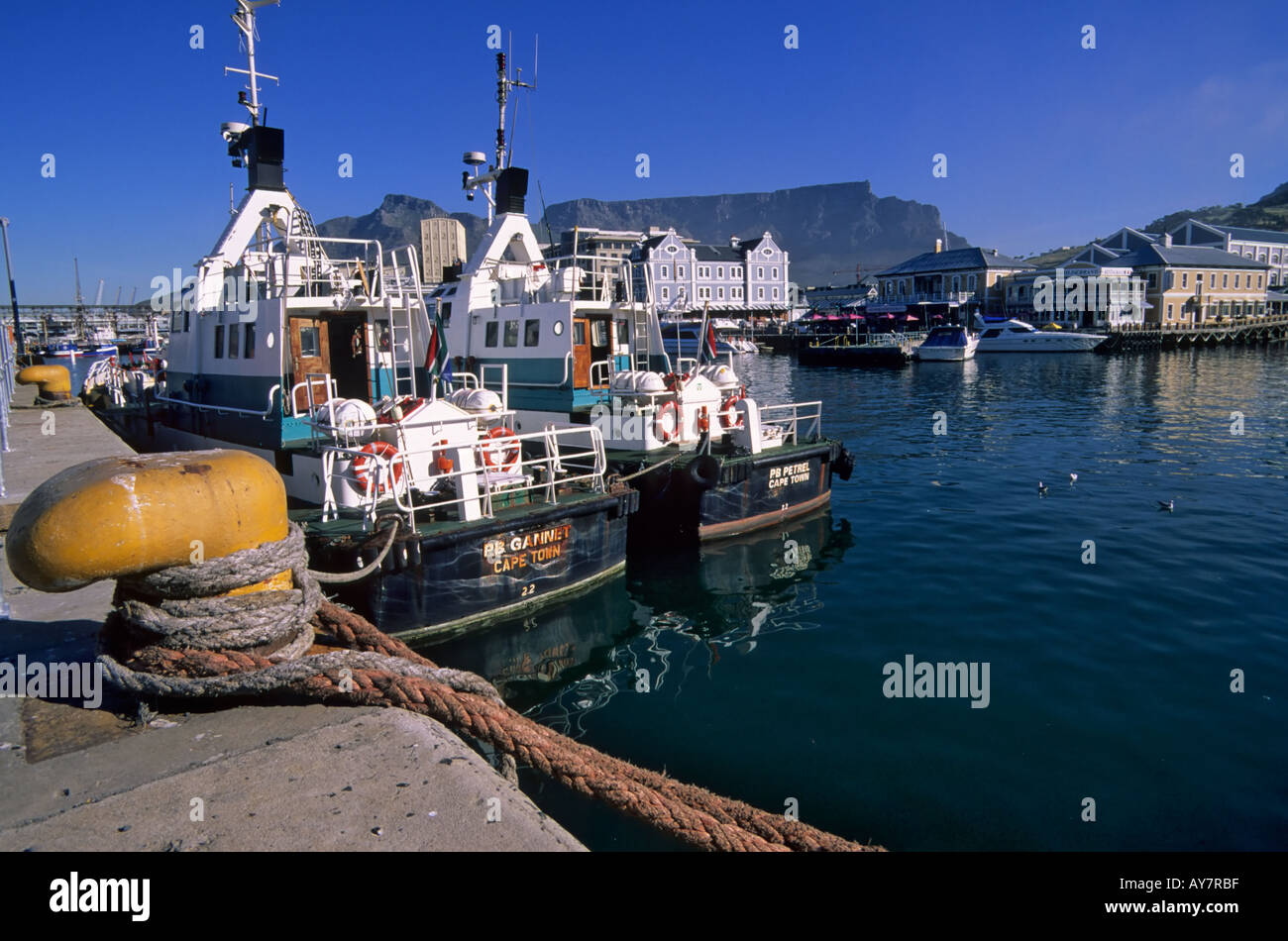 Porto al V&A Waterfront, Città del Capo e di Table Mountain in background, Sud Africa Foto Stock
