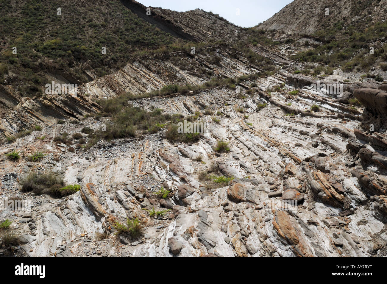Letti sottile di arenaria e di scisto in una sequenza turbidite. Il sud della Spagna. Foto Stock