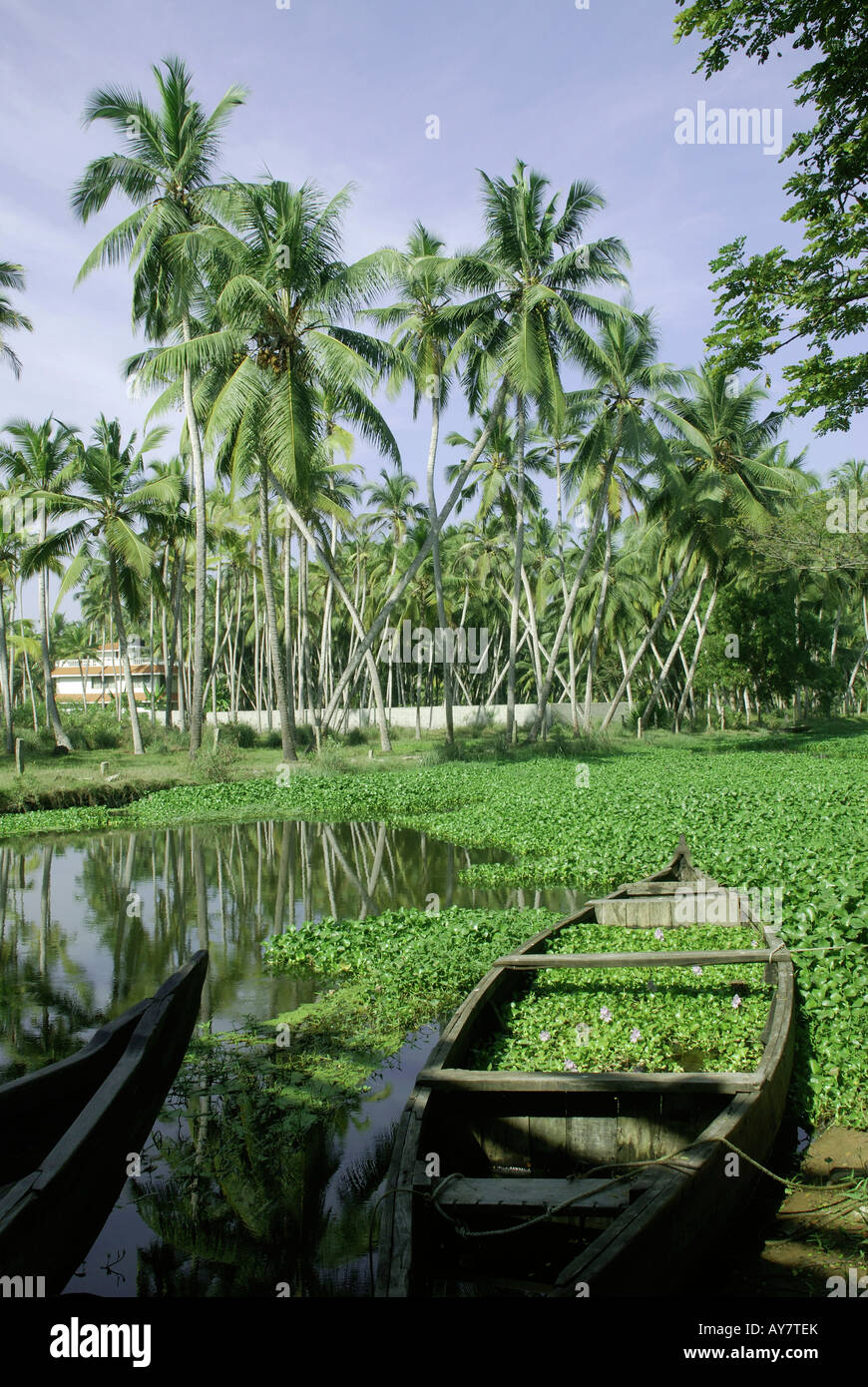 Paesaggio di bakwater nel lago vellayani kerala Foto Stock