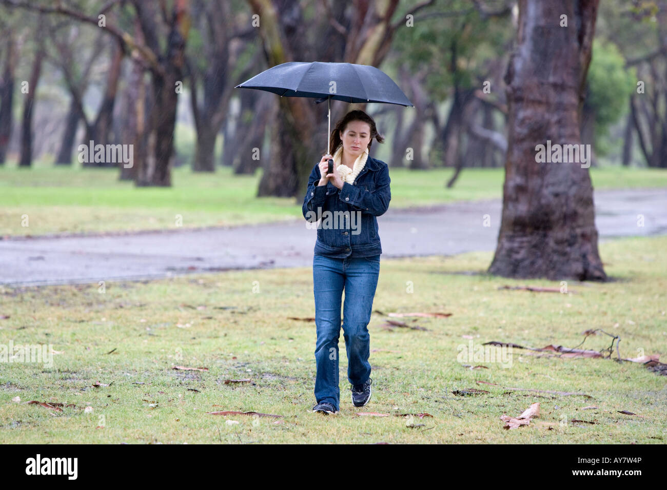 Una giovane donna con un ombrello a piedi attraverso un parco spazzate dal vento sotto la pioggia. Foto Stock