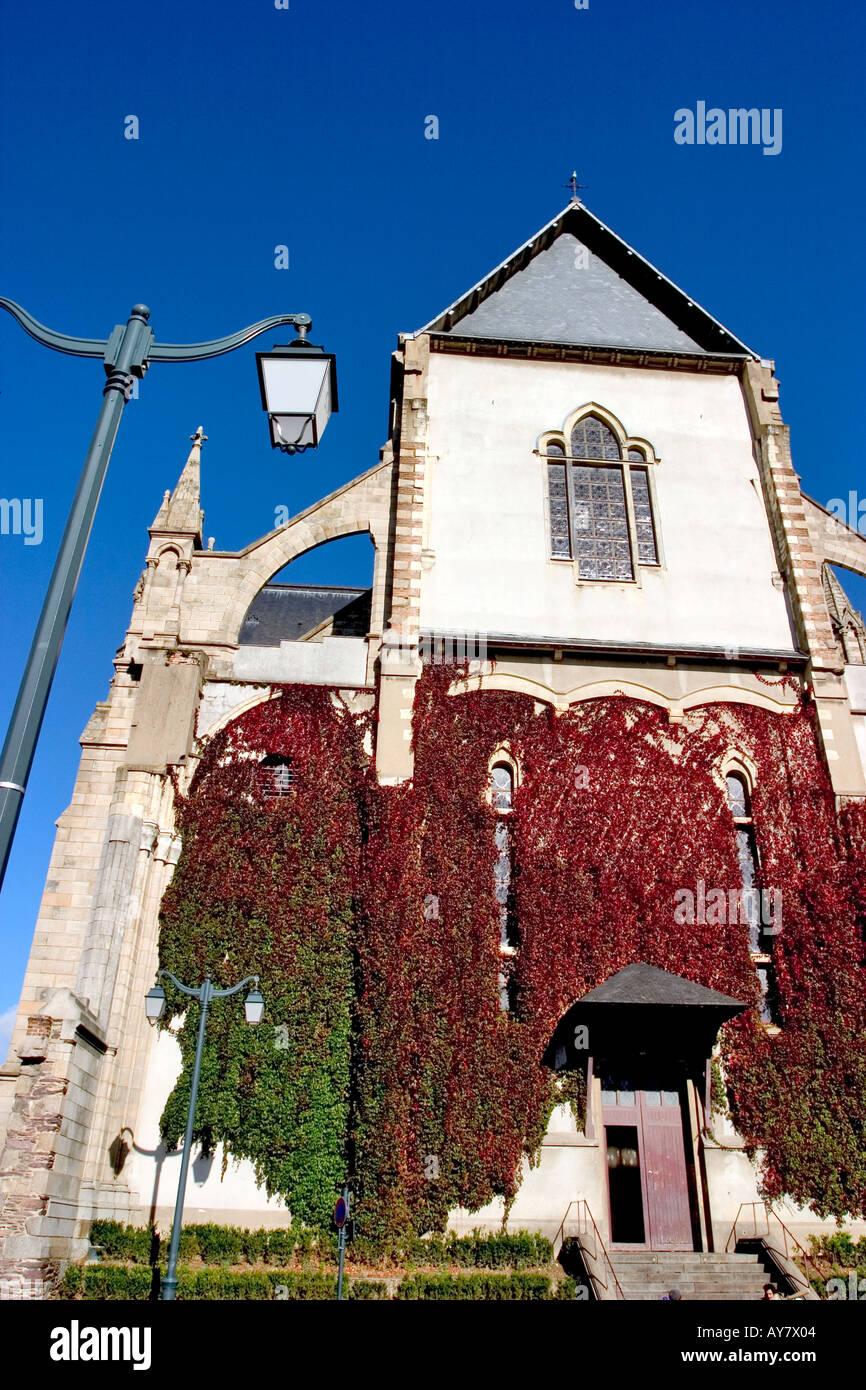 Edera colorate sulla facciata della chiesa di rennes Bretagna Francia Foto Stock