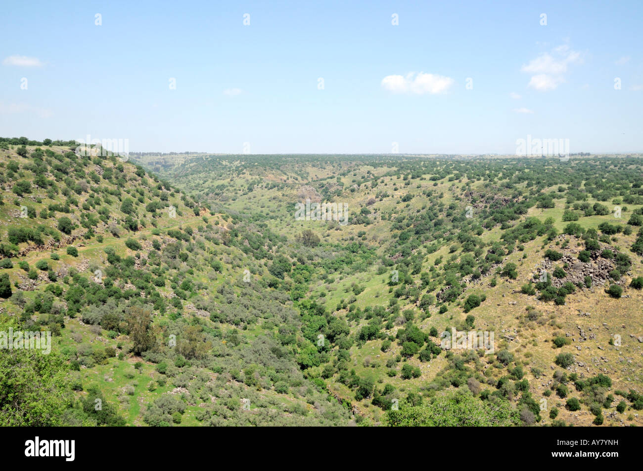 Israele Golan foresta Yehudiya Riserva Naturale le cime piane della montagna pianura come visto presso il fiume Meshoshim Foto Stock