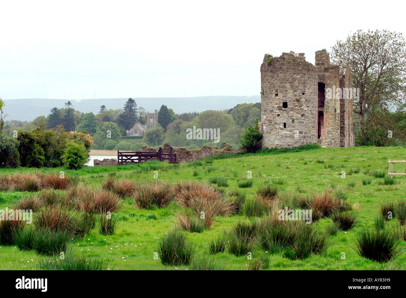 Co Fermanagh Crom Estate rovine del castello Foto Stock