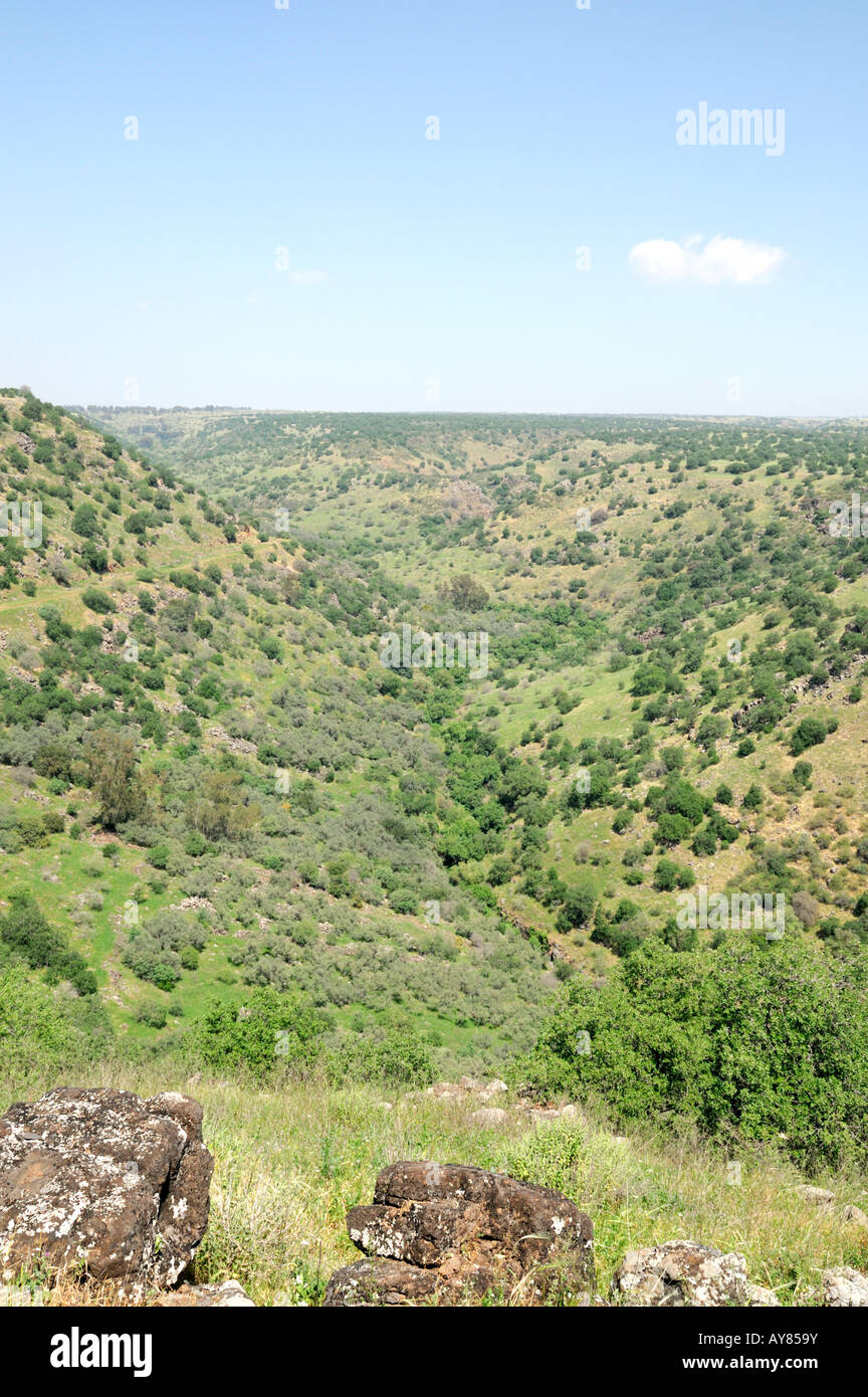 Israele Golan foresta Yehudiya Riserva Naturale le cime piane della montagna pianura come visto presso il fiume Meshoshim Foto Stock