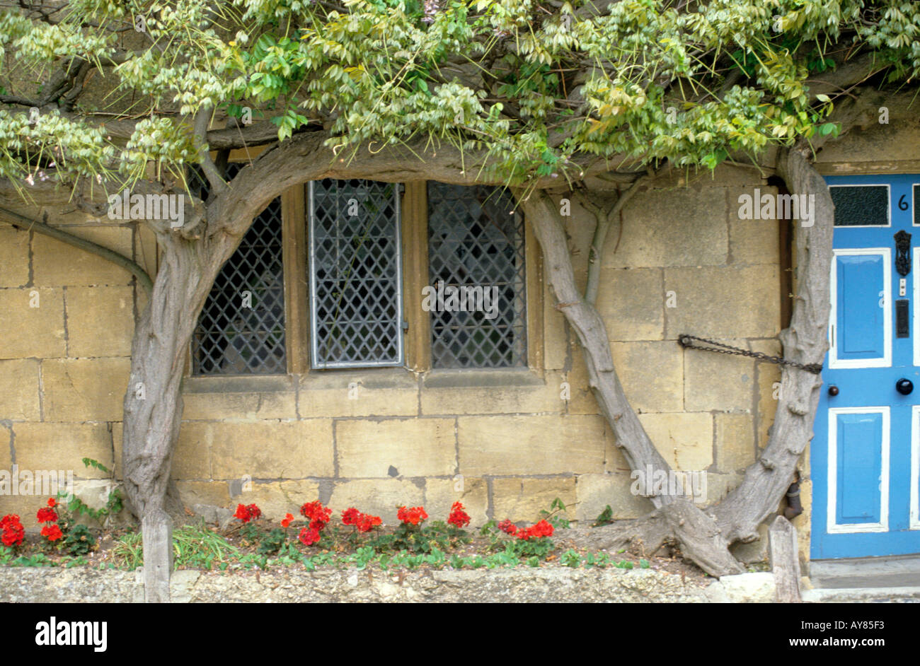 Finestra di glicine a Broadway ,i Cotswolds ,England Regno Unito Foto Stock