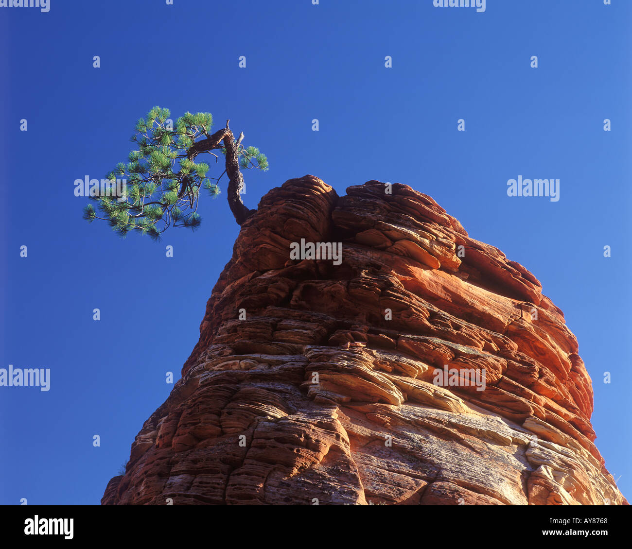 Esistenza tenue immagini e fotografie stock ad alta risoluzione - Alamy
