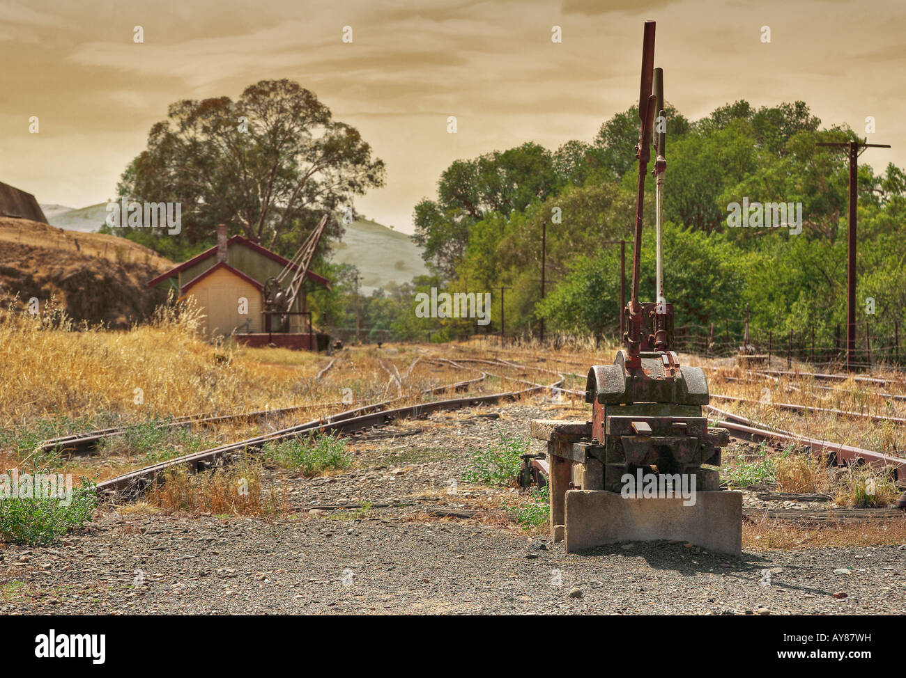 Un interruttore sul vecchio inutilizzato di binari ferroviari Foto Stock