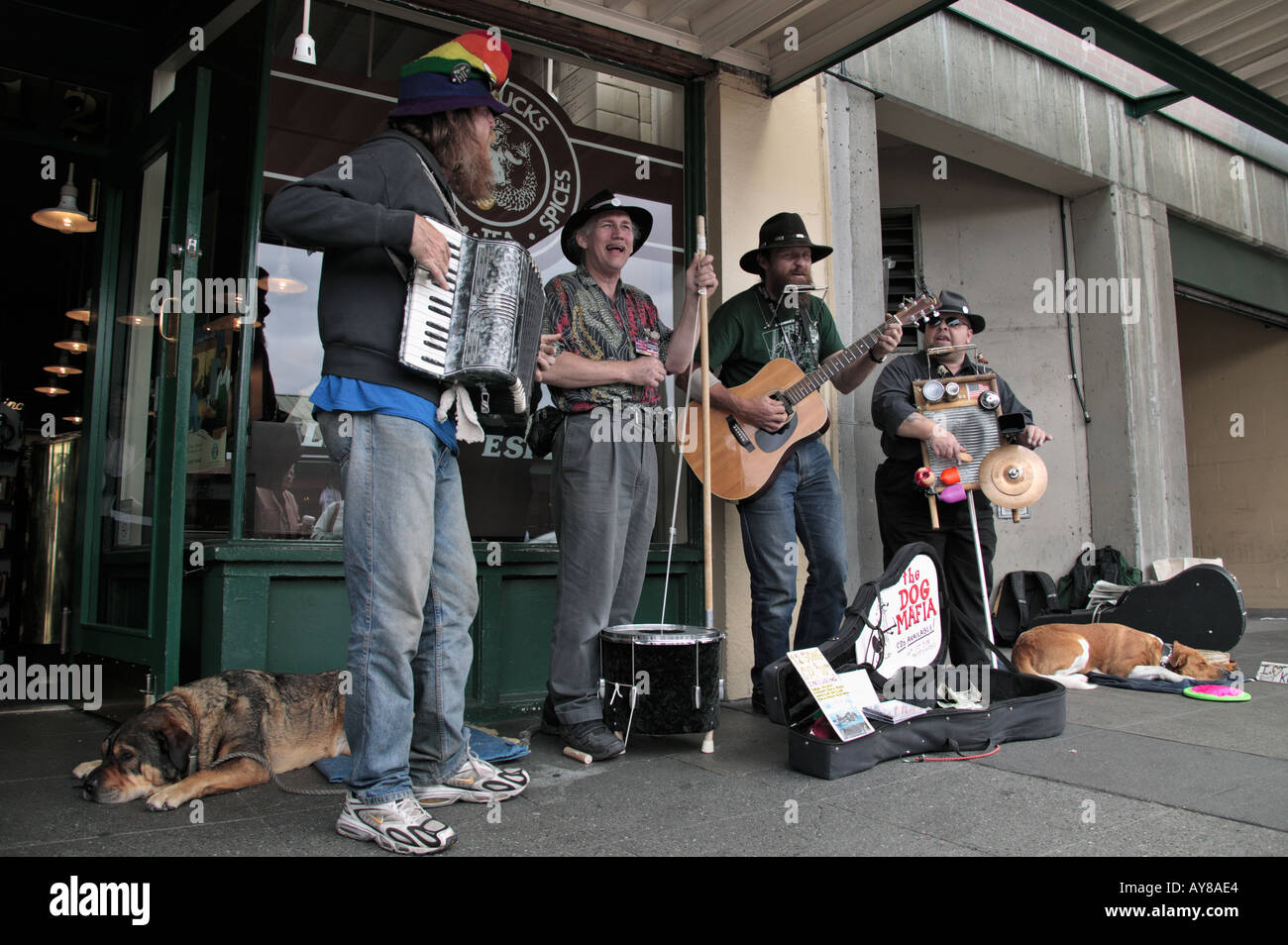 Il gruppo di quattro musicisti di strada eseguire sul marciapiede davanti a un caffè Starbucks store presso il Mercato di Pike Place in Seattle WA Foto Stock