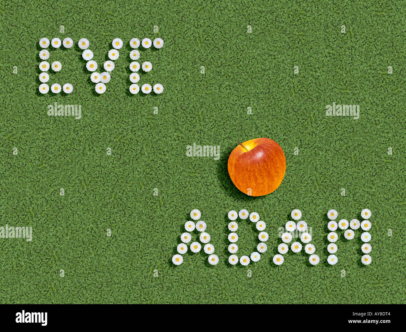 Adamo ed Eva scritto sillabato caratteri alfabetici Foto Stock
