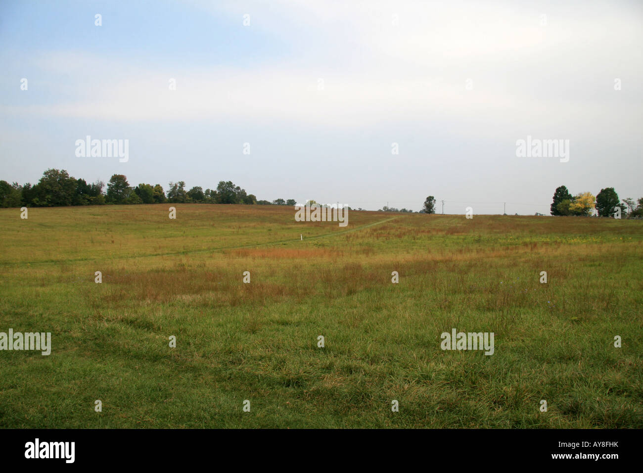 Il campo di Lost scarpe, Nuovo Mercato Battlefield State Historical Park, Virginia. Foto Stock