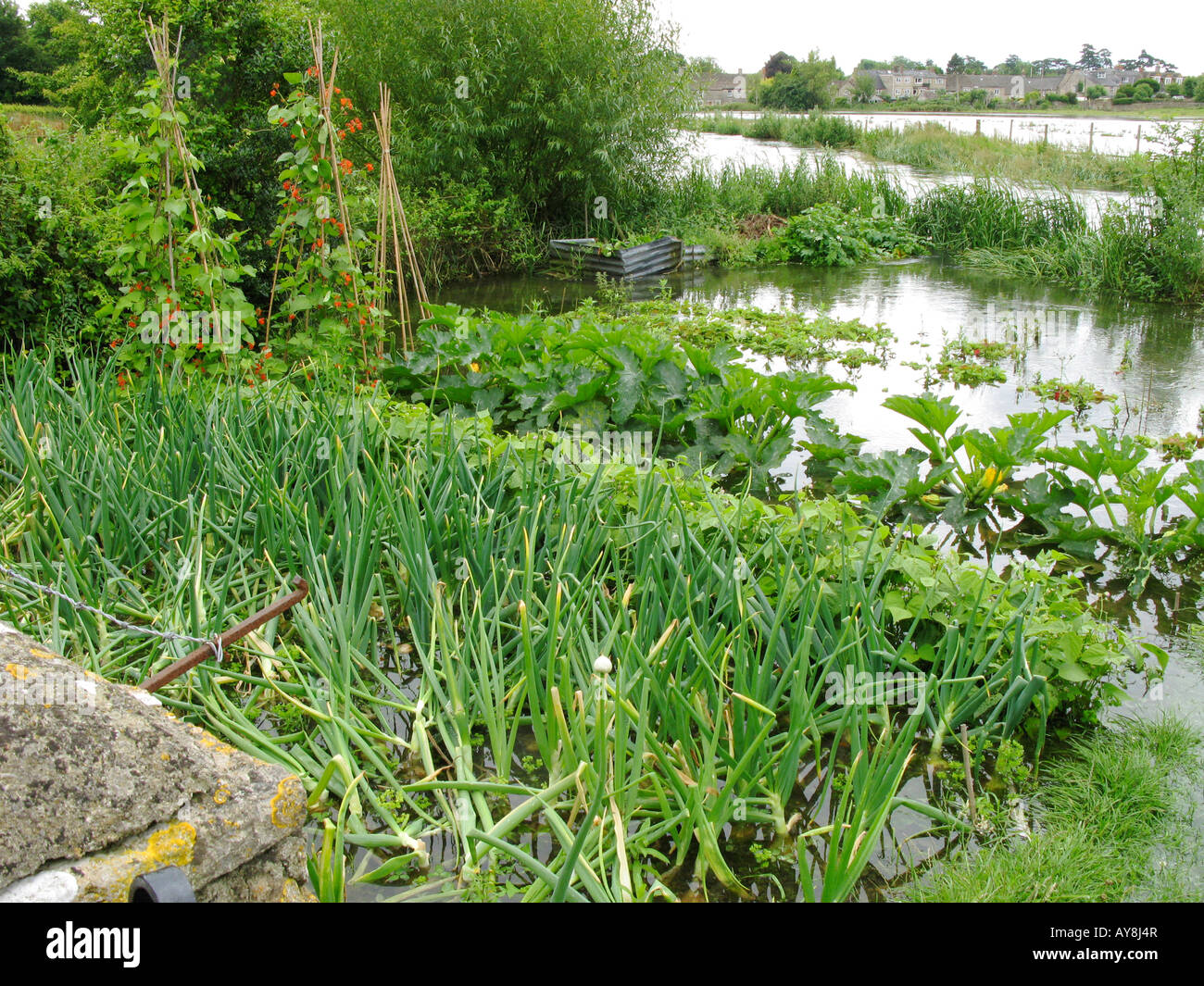 Inondati orto a Fairford mulino con il Fiume Coln in background le inondazioni nel campo adiacente Foto Stock