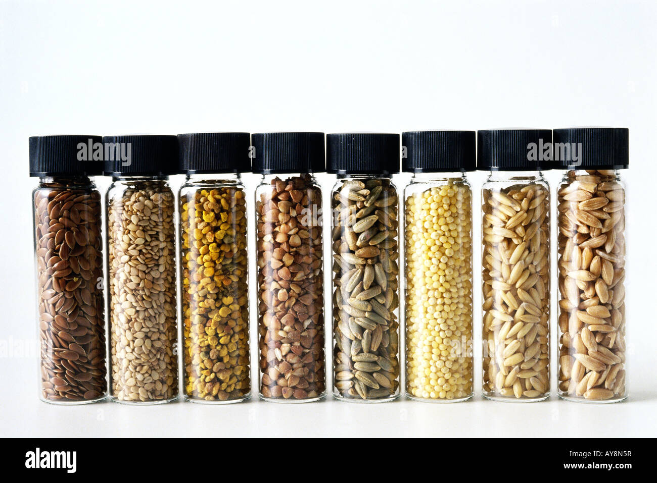 La linea di vasi contenenti semi assortiti e grani, close-up Foto Stock