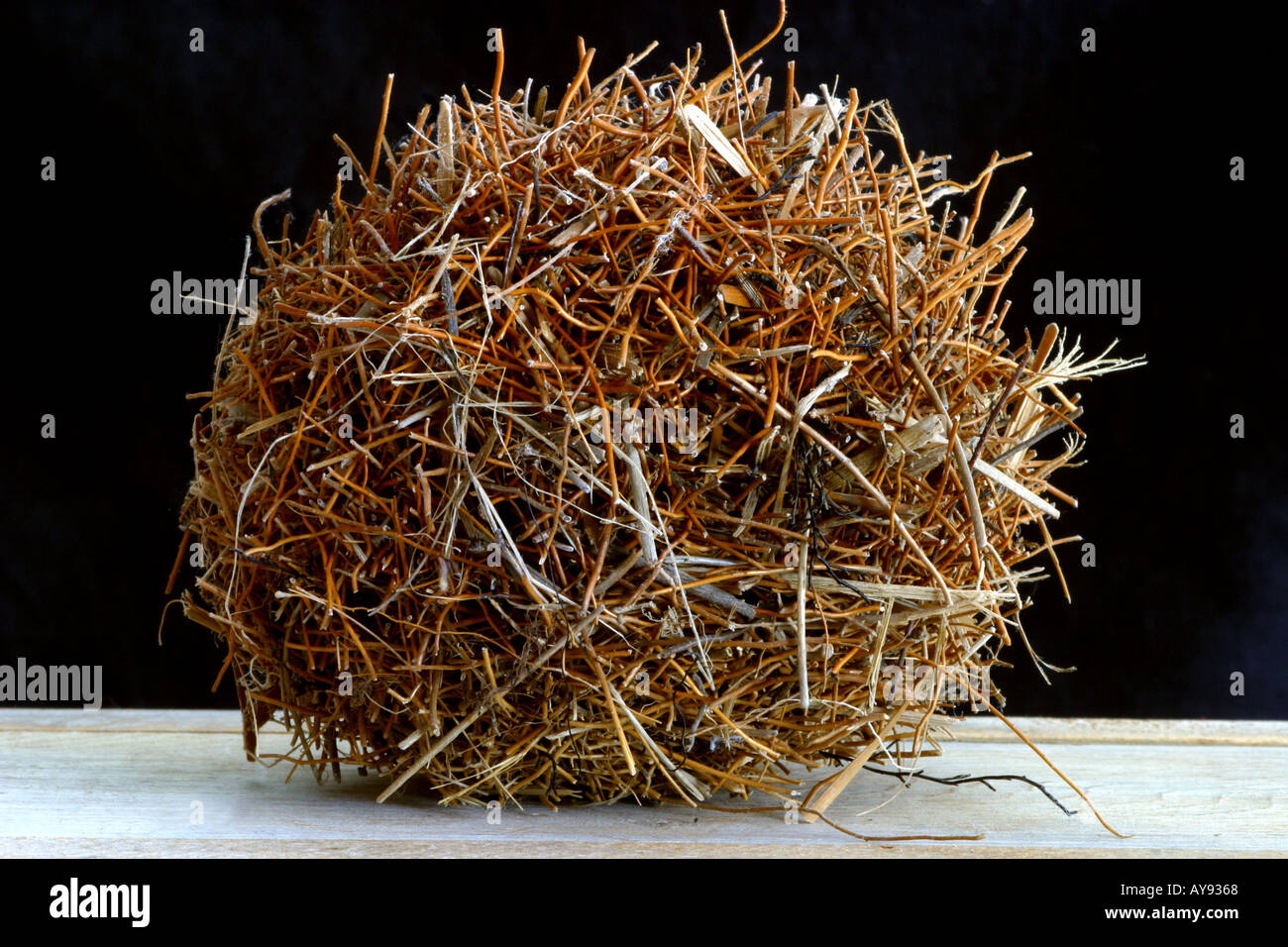 Sfera di Surf formata quando le alghe aghi di pino ramoscelli lenza groviglio insieme le onde Foto Stock