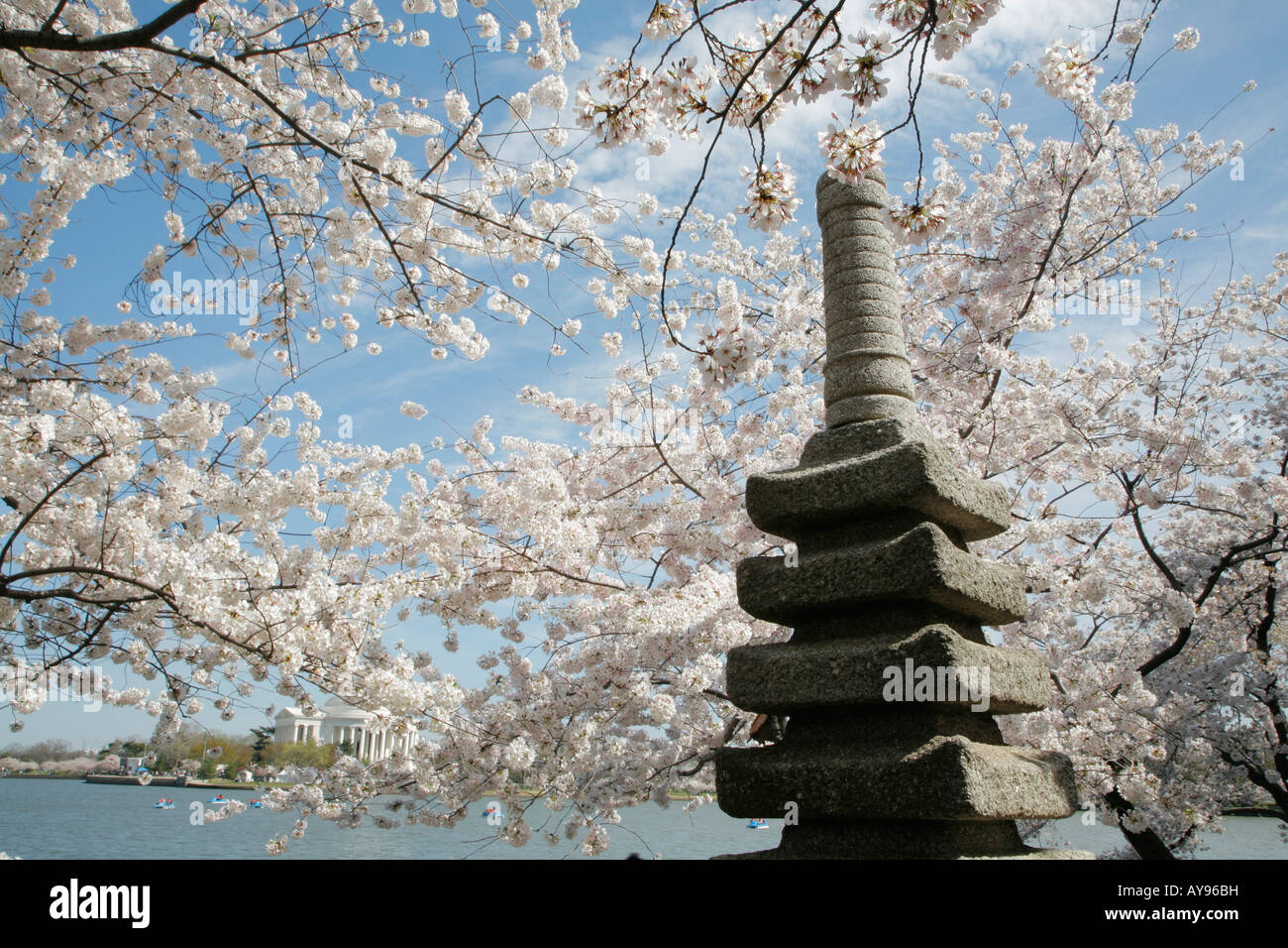 Monumento giapponese, la fioritura dei ciliegi, Tidal Basin, Jefferson Memorial, Washington DC, Stati Uniti d'America Foto Stock