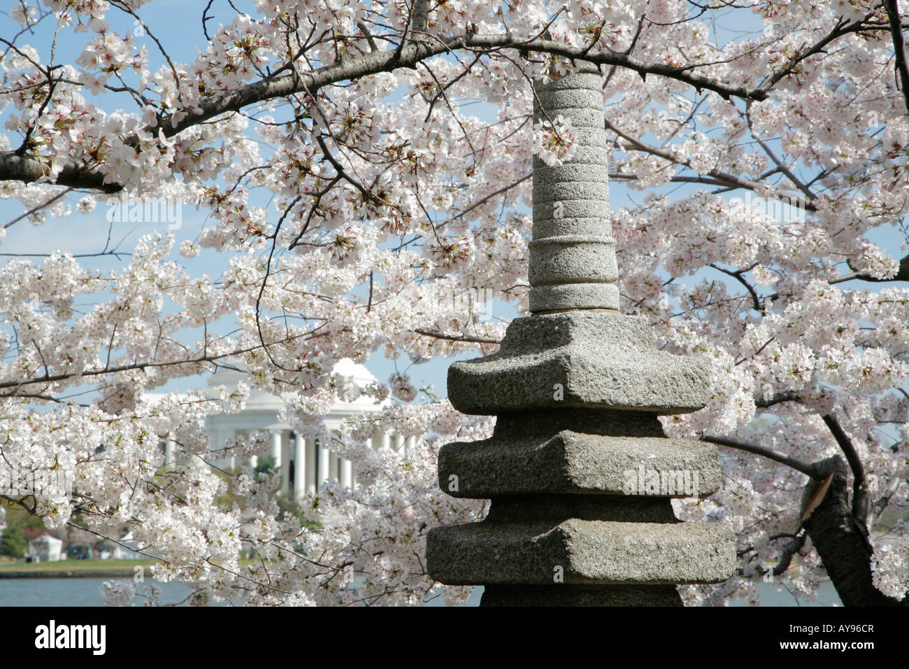 Monumento giapponese, la fioritura dei ciliegi, Tidal Basin, Jefferson Memorial, Washington DC, Stati Uniti d'America Foto Stock