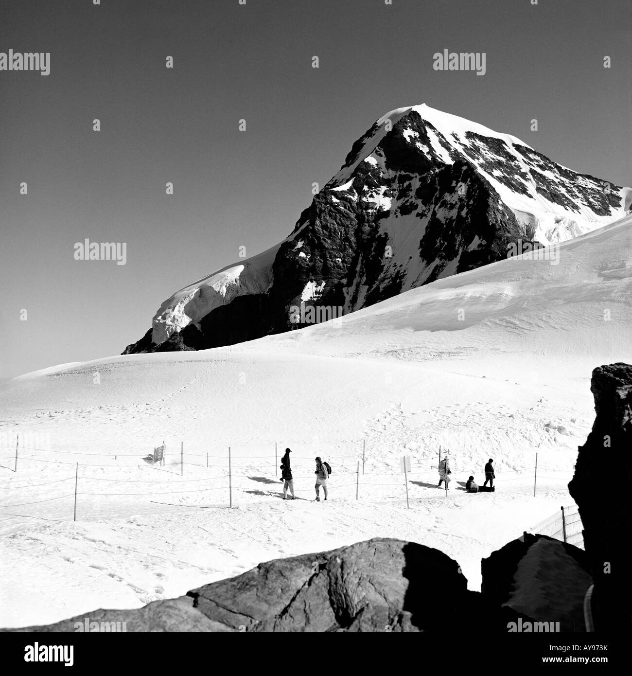 Vertice del Mönch dal Jungfraujoch svizzera Foto Stock
