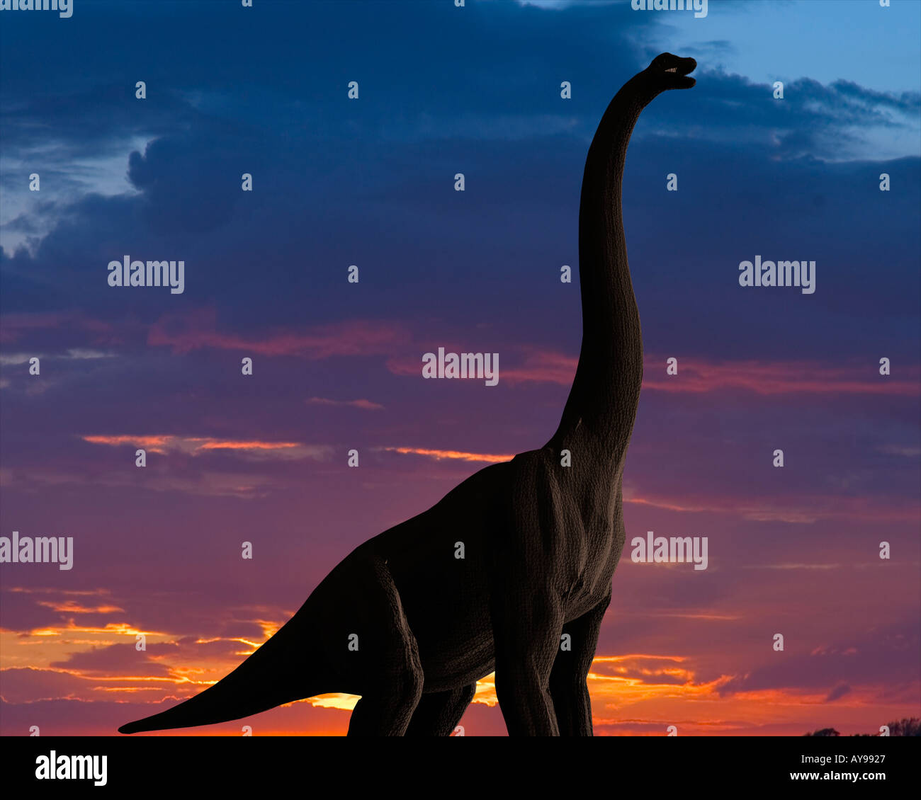 Dinosauro Brachiosaurus Foto Stock