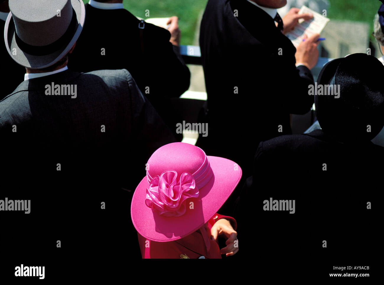 Cappelli cavallo di razza Royal Ascot Ascot Inghilterra UK Europa Foto Stock