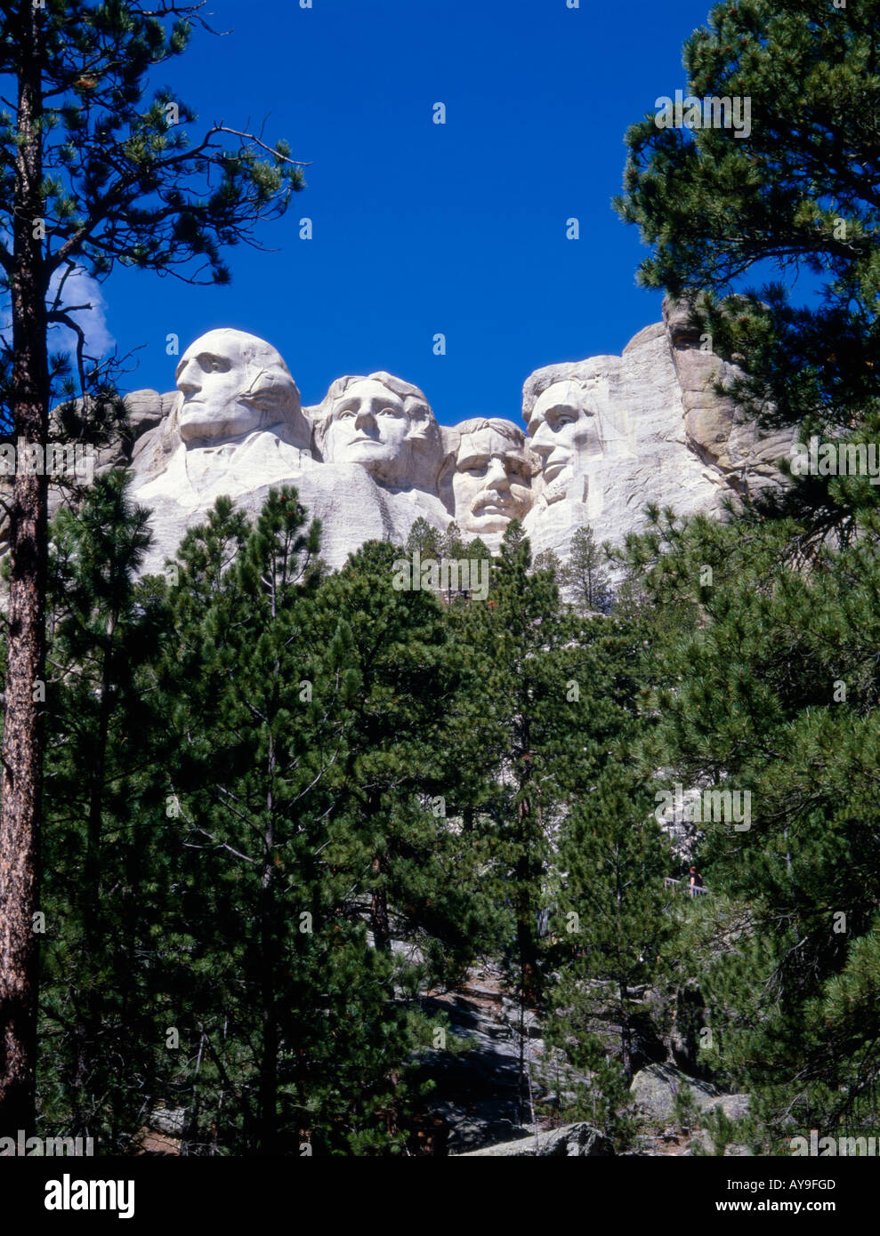 Il monte Rushmore monumento nazionale, Black Hills, Dakota del Sud Foto Stock