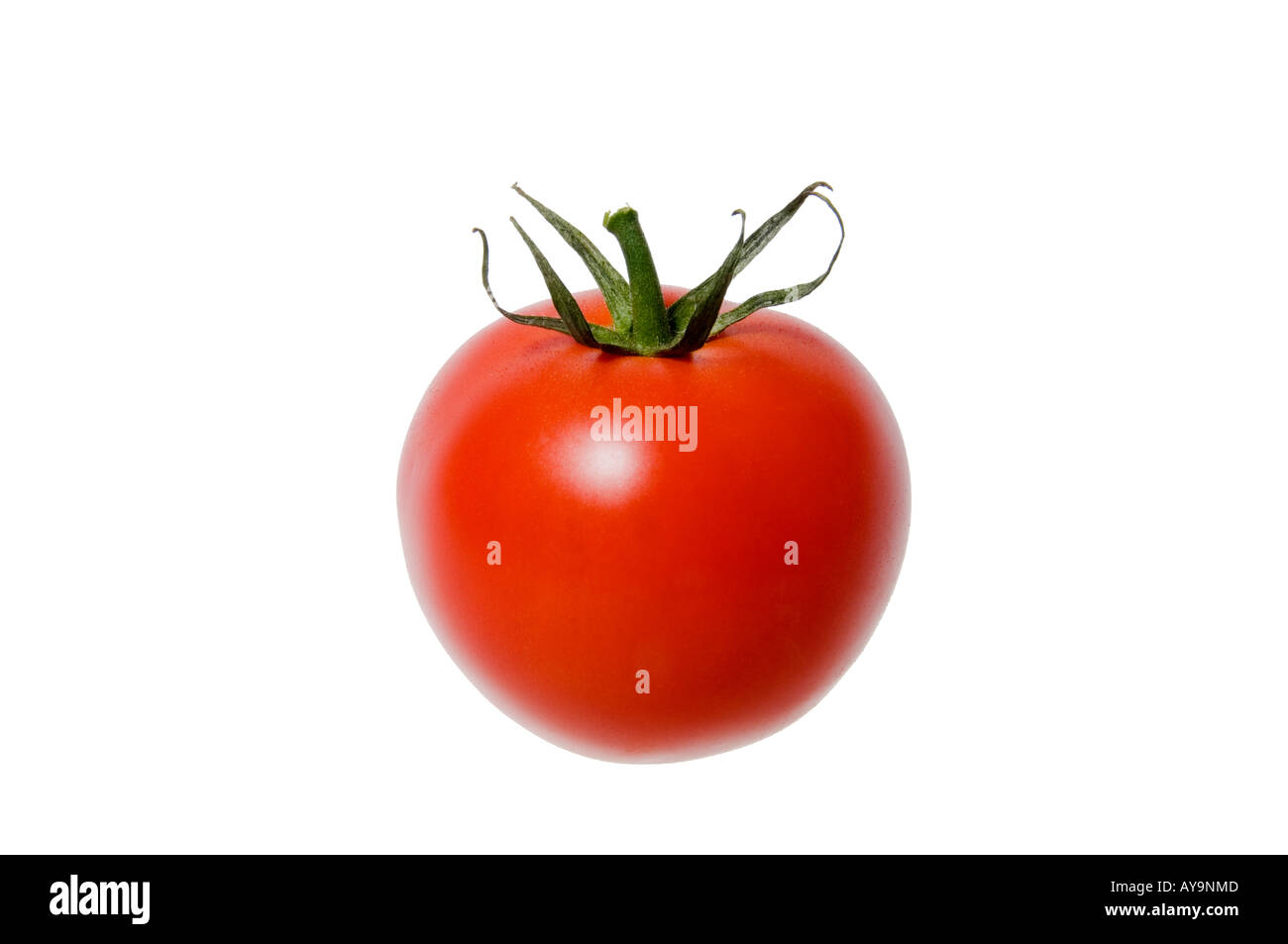 Uno mature, pomodoro rosso su sfondo bianco Foto Stock