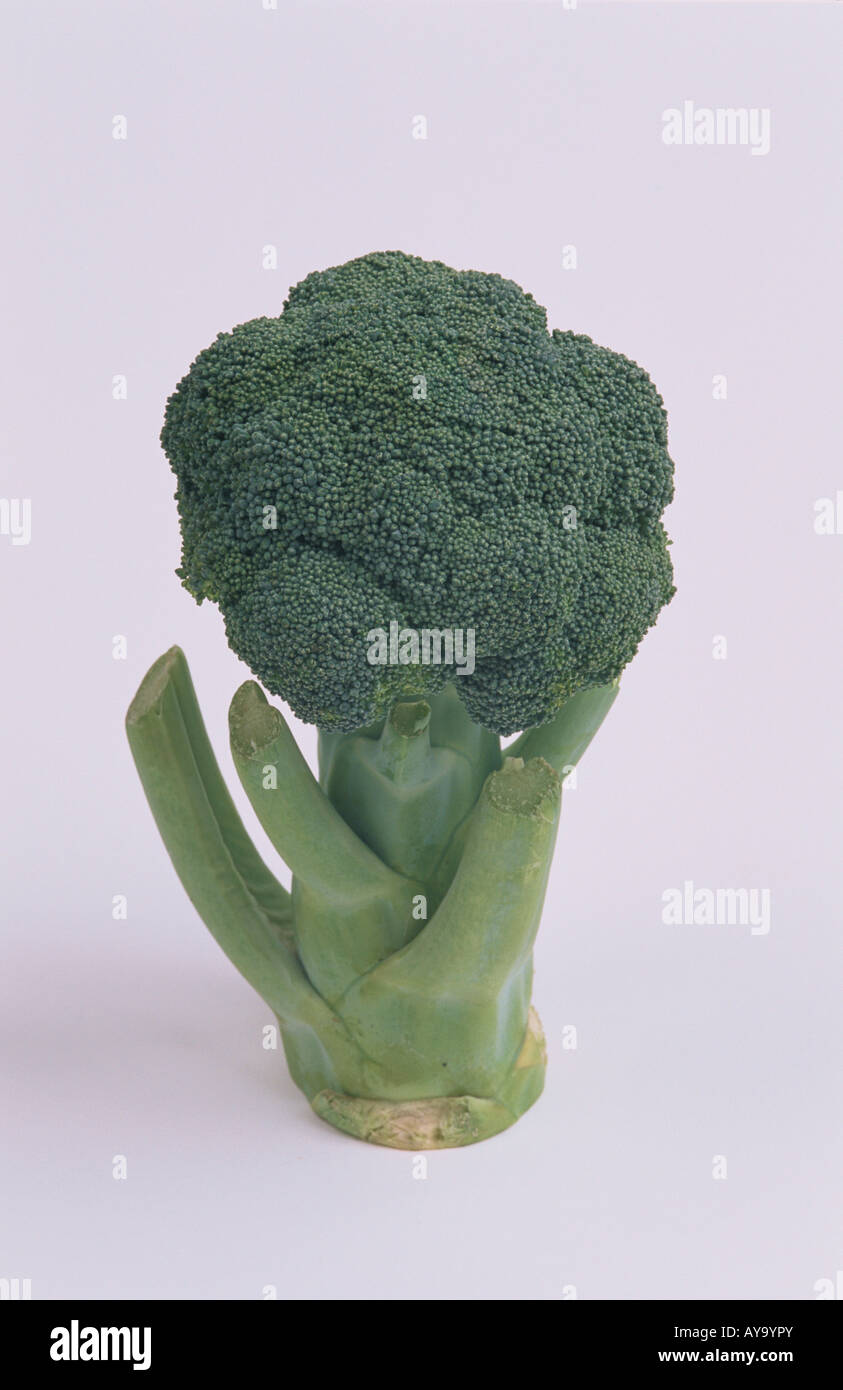 Broccolo Foto Stock