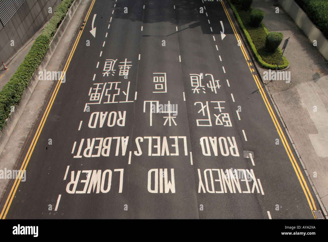 Asia Repubblica popolare cinese Hong Kong taxi e altro traffico passato guida dipinto direzione strada segni sul cotone Tree Drive Foto Stock