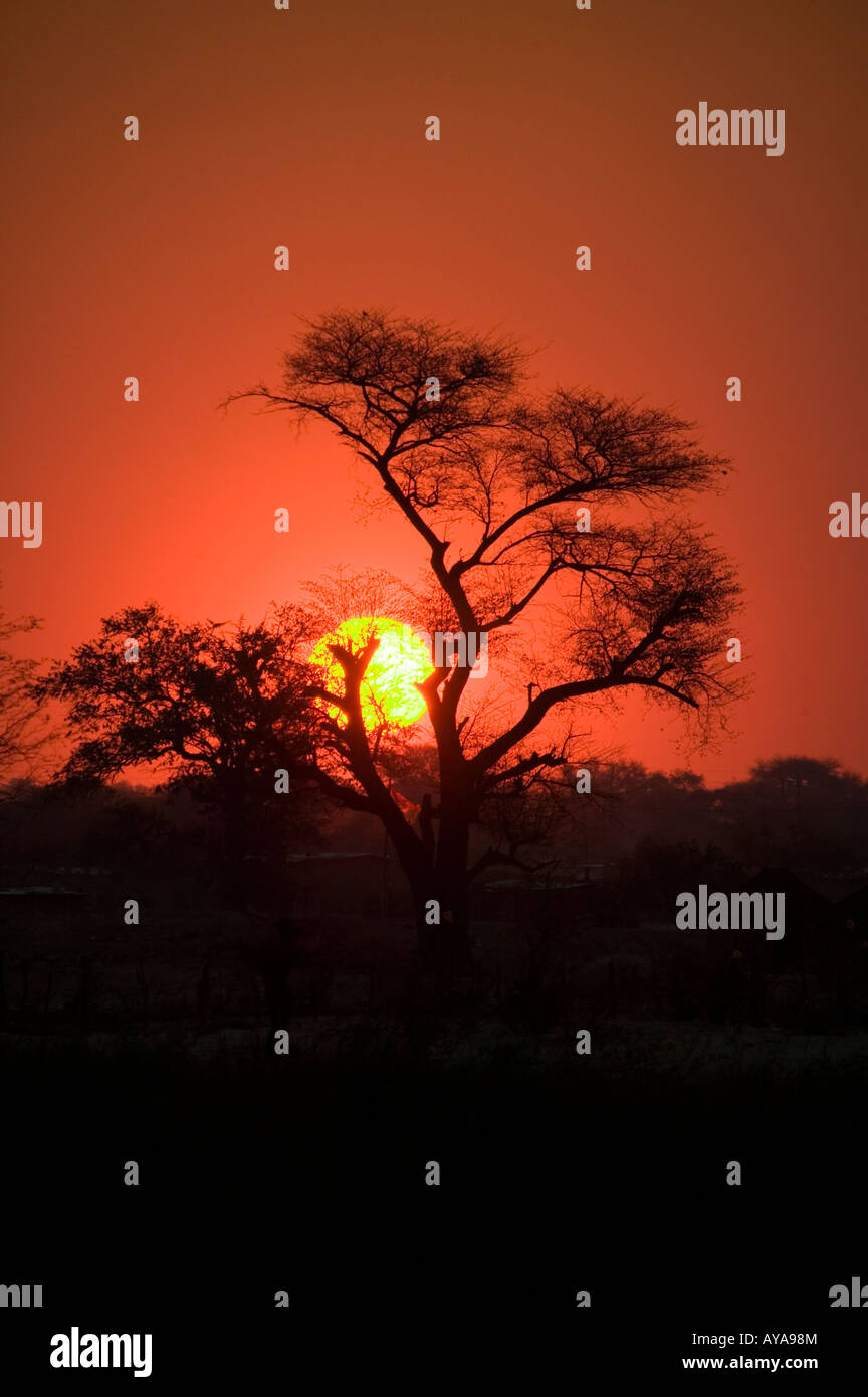 Afrique, Africa, natura, giungla, viaggi, turismo,tramonto, colori Foto Stock