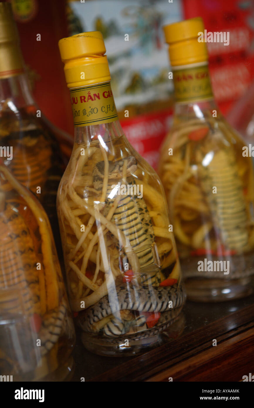 Vino di serpente/ cobra medicina tonico per la vendita, il vecchio quartiere di Hanoi, Vietnam Foto Stock