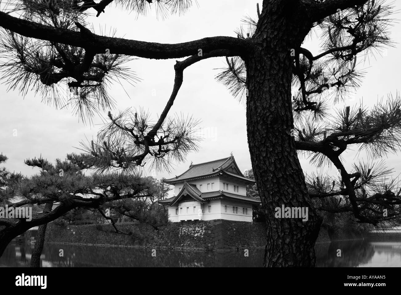 Asia Tokyo Giappone pini telaio edifici di guardia al Palazzo Imperiale vicino al cancello Otemon Foto Stock