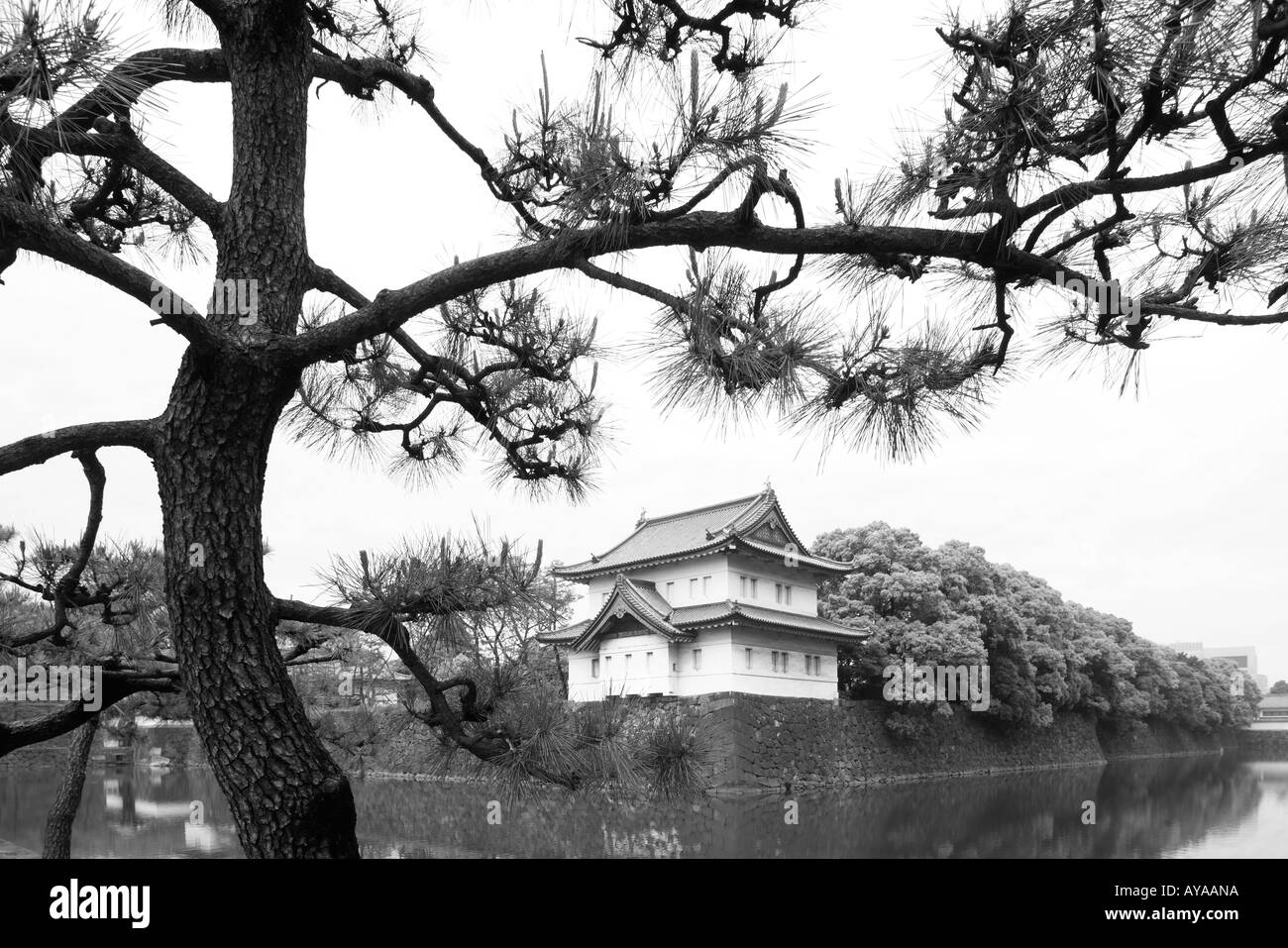 Asia Tokyo Giappone pini telaio edifici di guardia al Palazzo Imperiale vicino al cancello Otemon Foto Stock