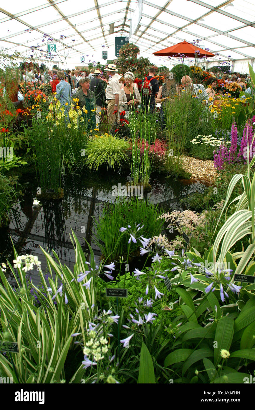 Regno Unito Cheshire Knutsford Tatton Hall RHS Flower Show Hall Farm Nurserys acqua da giardino Foto Stock