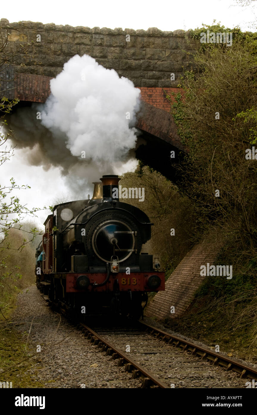 Treno a vapore di andare sotto un ponte Foto Stock