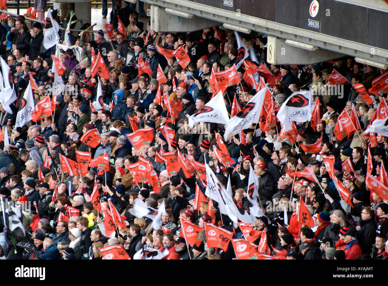 Saraceni rugby fan durante il 2008 win over Swansea Neath falchi pescatori a vicarage road nella Heineken Cup quarti di finale n. 2659 Foto Stock