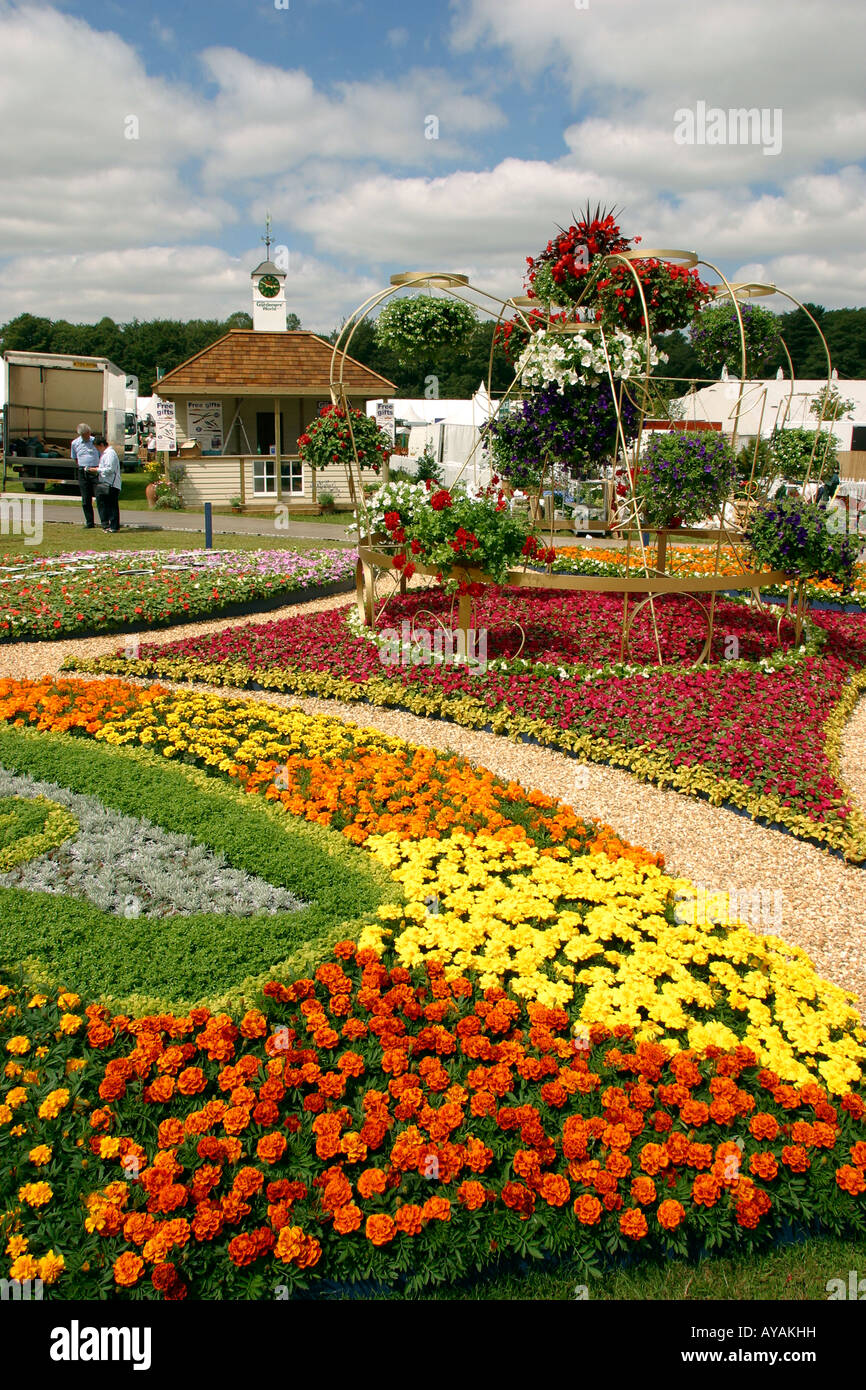 Regno Unito Cheshire Knutsford Tatton Hall RHS Flower Show BBC NorthWest stasera Garden Foto Stock