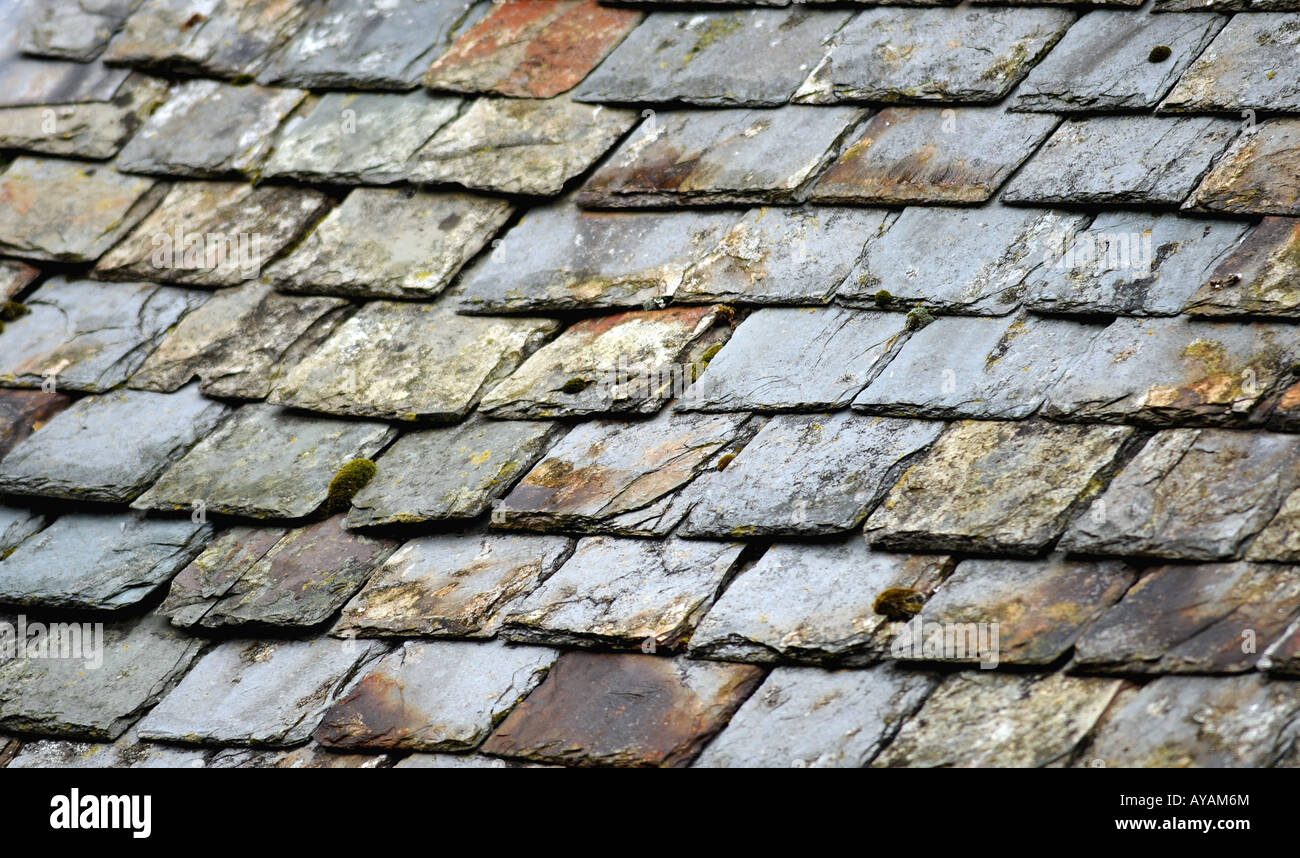 Tetto in ardesia piastrelle in una dimora del XVIII secolo in Tenby con segni di età e il muschio cresce dal loro Foto Stock