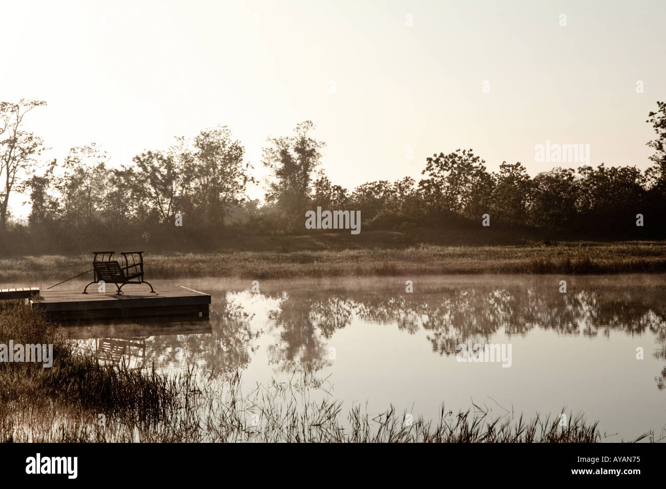 Swing su un molo vicino a una molla laghetto alimentato vicino a Beaumont TX Foto Stock