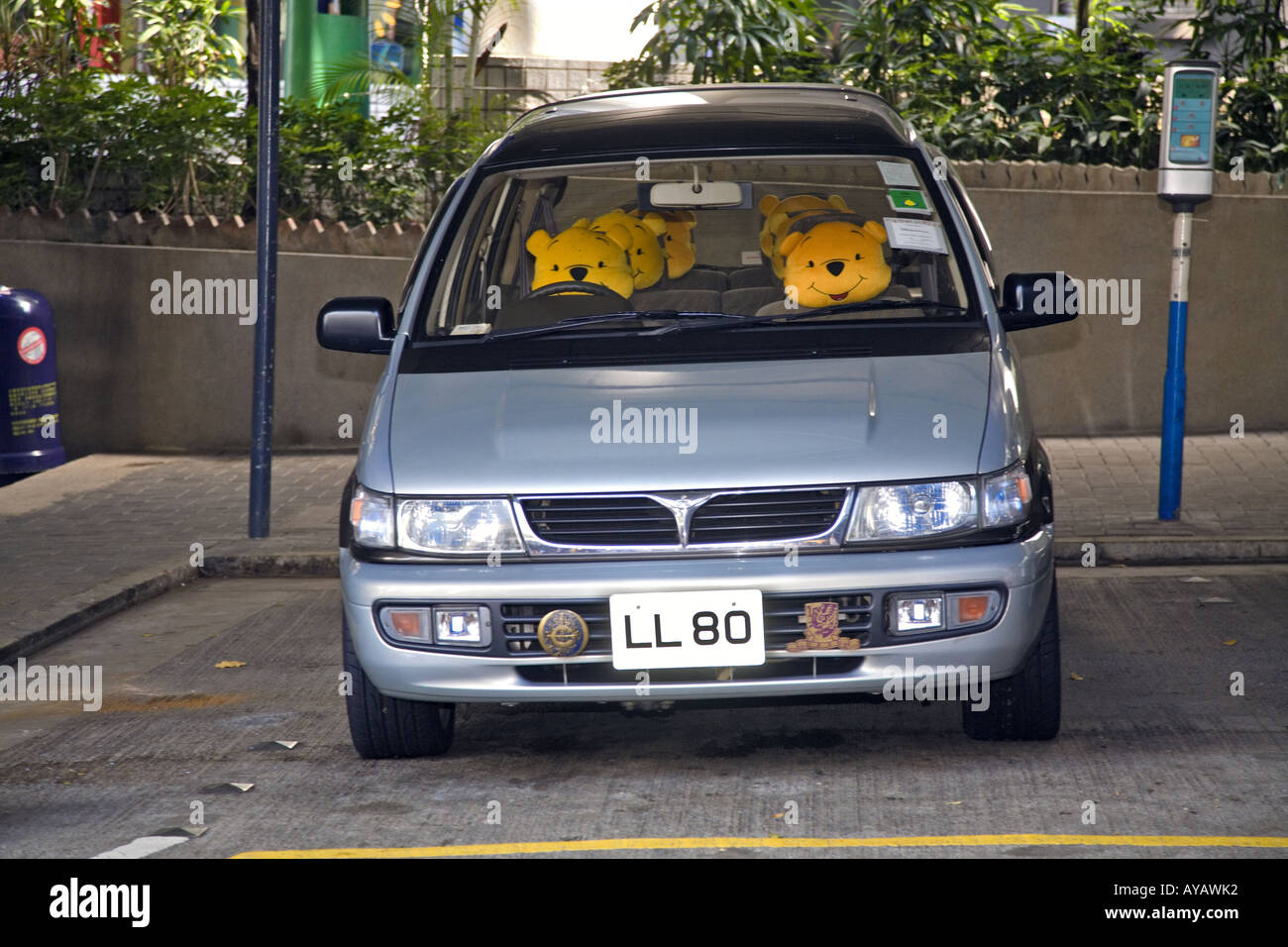 Divertente immagine di orsi in auto Foto Stock