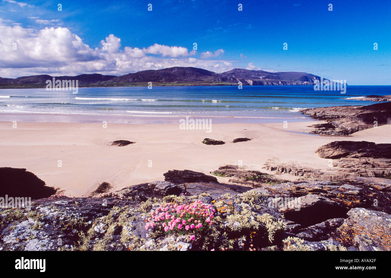 La parsimonia e rocce accanto a Tramore Strand, Rosbeg, County Donegal, Irlanda. Foto Stock