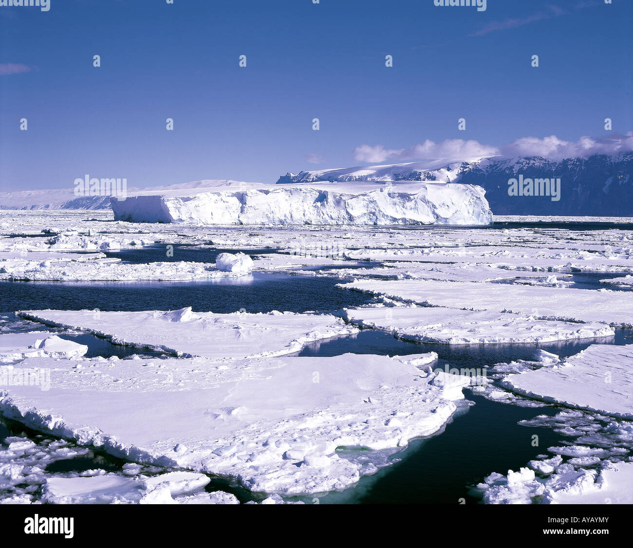 Iceberg nel Mare di Ross Antartide Foto Stock