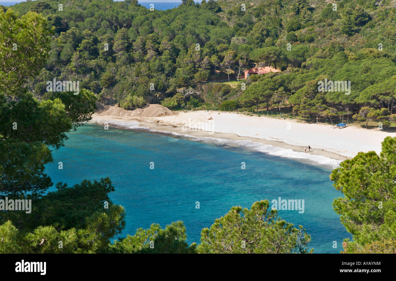 Vista della spiaggia di Fetovaia Isola d Elba Livorno ITALIA Foto Stock