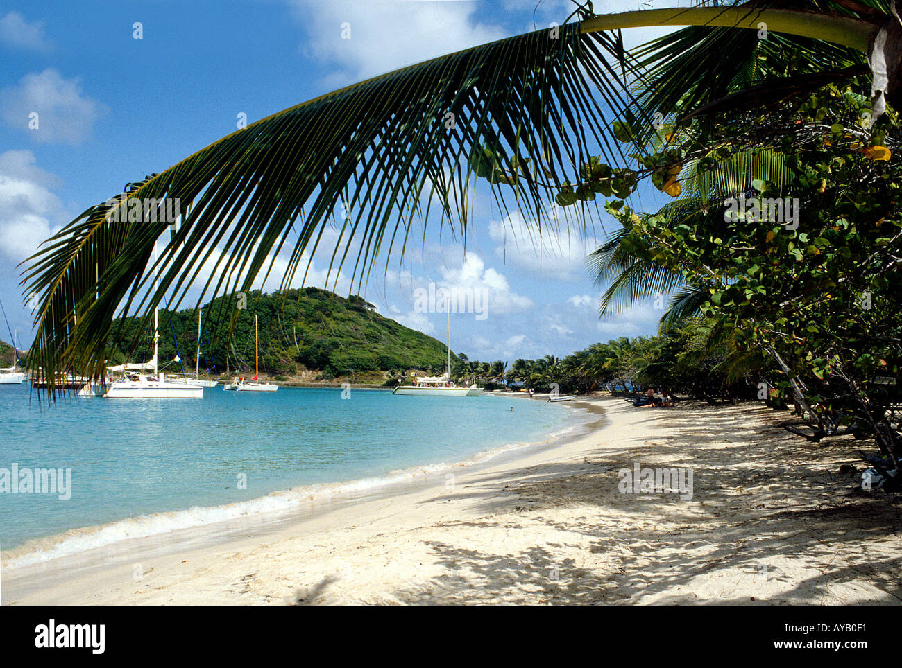 Mayreau Island in the Grenadines Caraibi Foto Stock