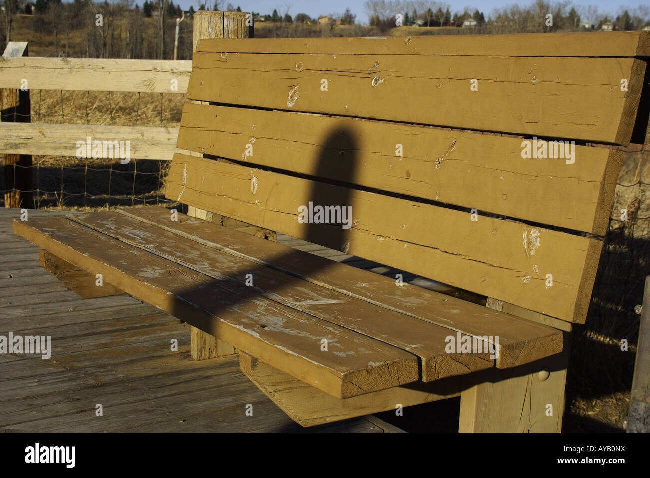 Panca in legno nel pesce Creek Park, Calgary, Alberta Foto Stock