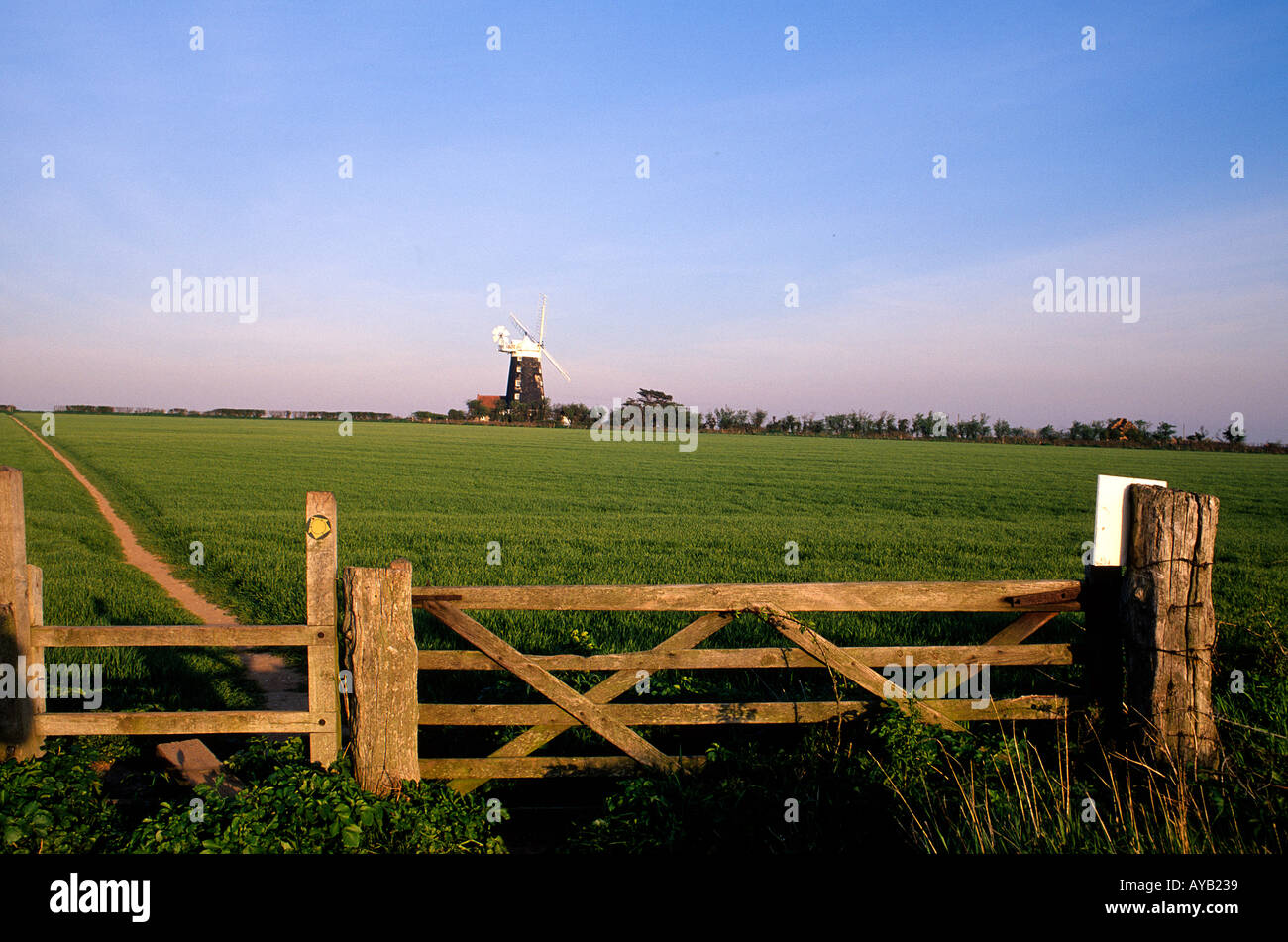 Mulino a vento a distanza attraverso i campi e fattoria Norfolk Inghilterra Foto Stock