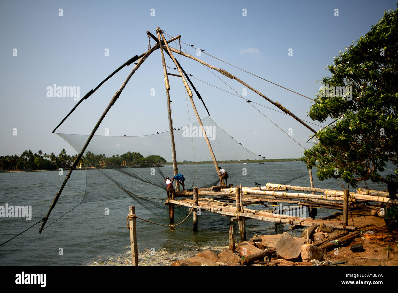 I pescatori con il cinese net, Fort Cochin, Kerala. Foto Stock